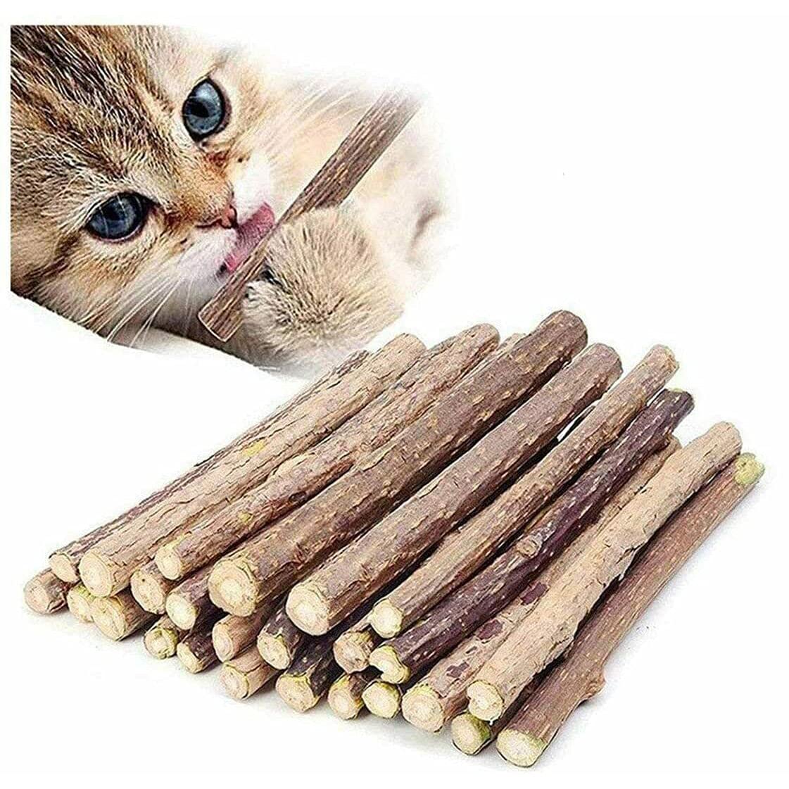 GadgetcKing 40 Pack Cat Nip Sticks Dried Silvervine Natural Wood Play Dental Chew Toy Teeth Clean Chewing Grinding Tetting Treat Treats Toothbrush Matatabi Kitten