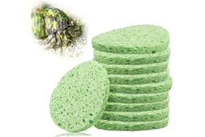 kcrygogo Hermit Crab Green Sponge Hermit Crab Accessories for Maintaining Hermit Crab Tank Humidity Supplies(10pcs)