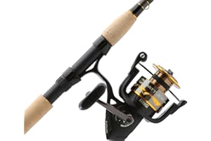 PENN Battle IV Spinning Reel and Fishing Rod Combo