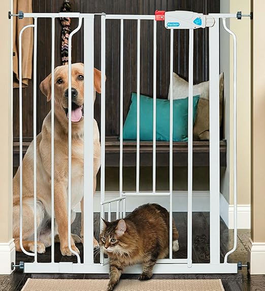 5 Amazing Puppy & Dog Gates For Indoor & Outdoor Use!