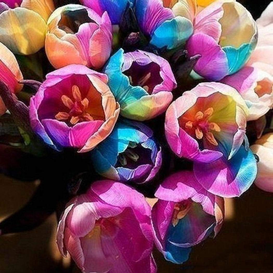 100pcs/ Bag Rainbow Tulip Bulbs Seeds Garden Flower Plant Flowers