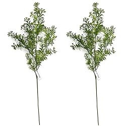 Fake Plants Artificial Plant Simulation Thorn