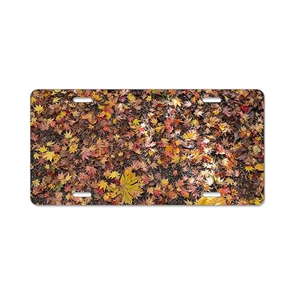Amazon Com Yex Leaves On The Floor License Plate Frame With