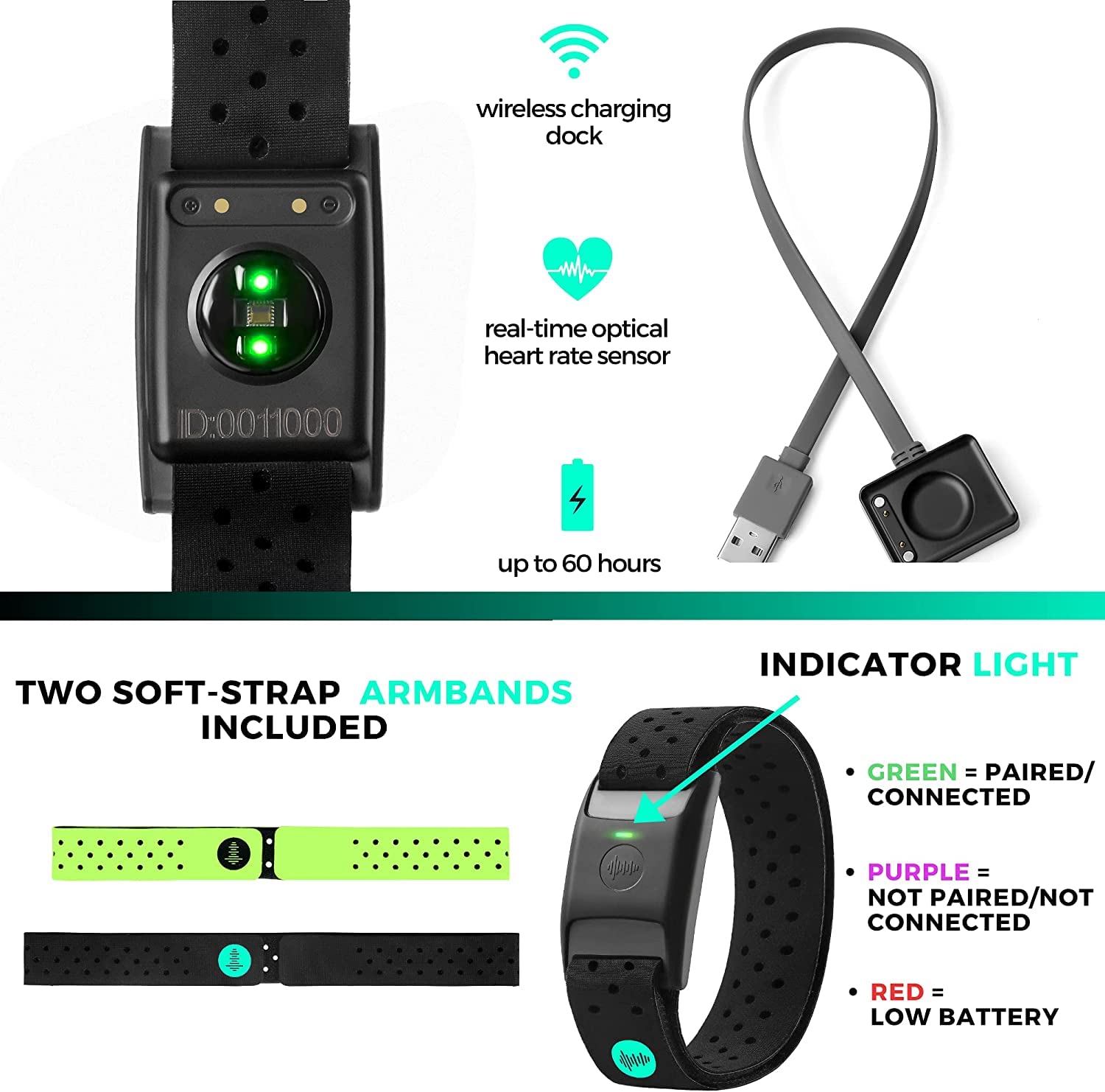 POWR LABS Bluetooth Armband Heart Rate Monitor - ANT+ Compatible with Polar, Peloton, Wahoo, Strava, Garmin, Whoop
