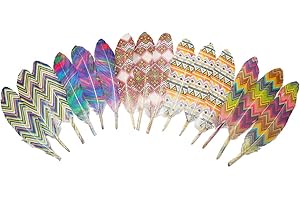 BALLINGER 50Pcs 5 Style Natural Goose Feathers Clothing Accessories Pack of Mixed Indian Feathers,Easter Decor,Christmas, Clothing,and Baby Shower Decorations (Indians Style)