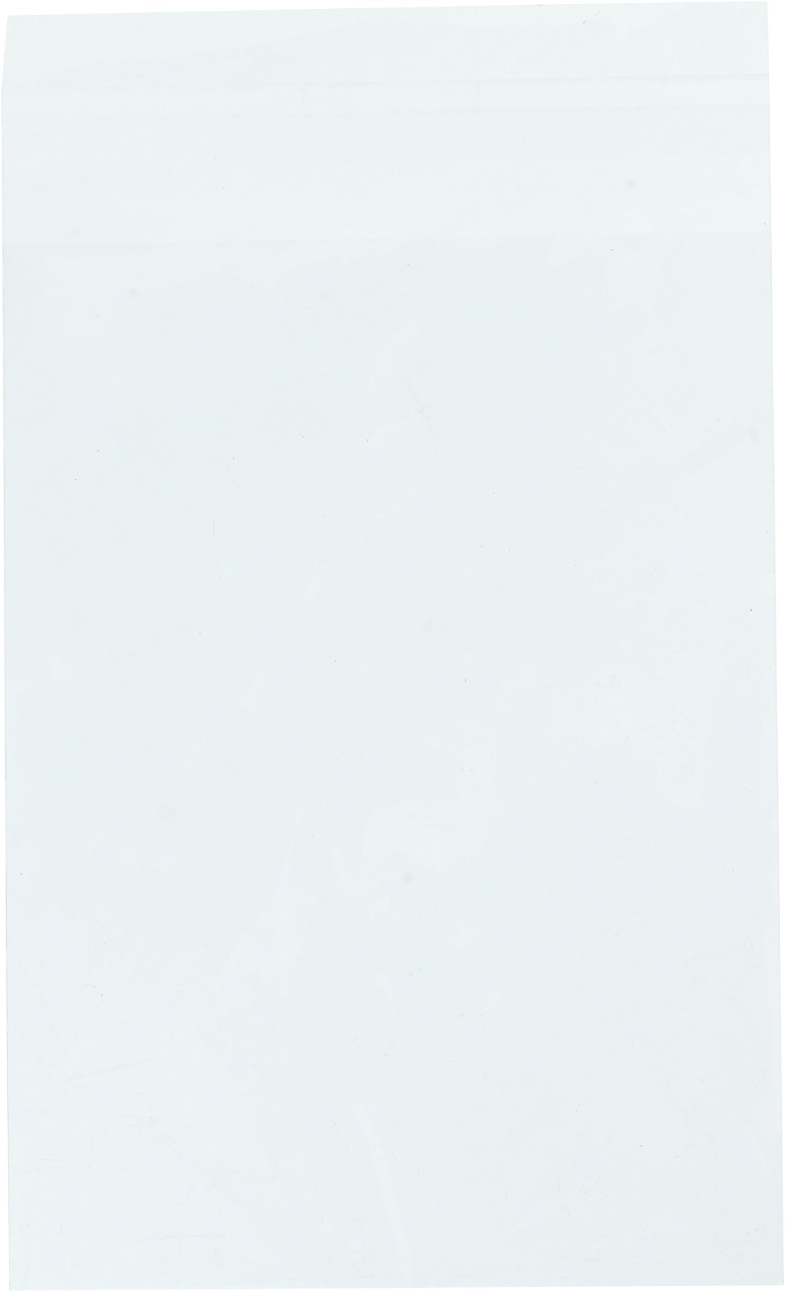 Pack of 100 - Crystal Clear Bags for Photography, Art - 5-1/4 by 7-1/8 Inches