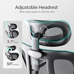 Hbada P3 Ergonnomic Office Chair with 2D Adjustable
