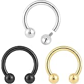 Pierced Koala 2PCS Titanium Implant Grade Internally Threaded Nose Rings Horseshoe Circular Barbell Septum Jewelry 16G 14G 12G 10G Nose Ear Piercing Jewelry Conch Helix Rook Lip Nipple Cartilage Earring for Women Men