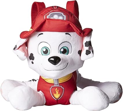 paw patrol accessories