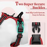 rabbitgoo Dog Harness Small No Pull Reflective Adjustable Vest with 2 Leash view 4