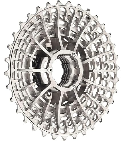 Amazon.com : SHIMANO Unisex's CSHG800134 Bike Parts
