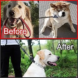 CBBPET Dog Prong Collar, Adjustable Dog Training