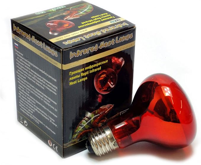 Reptile Vivarium Infra Red Heat Lamp 75W (ScrewIn) Amazon.co.uk Pet Supplies