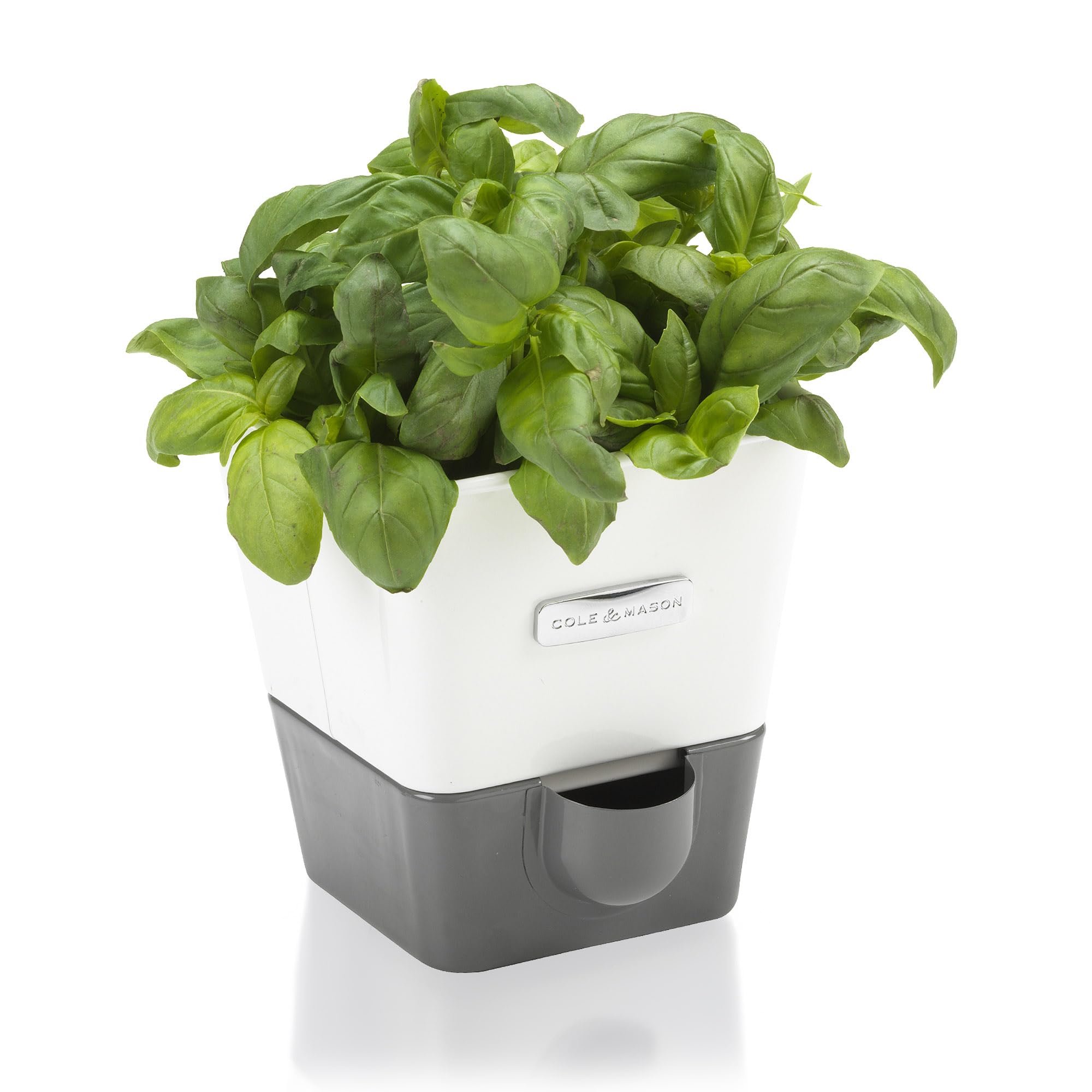 Cole & Mason Burwell Self-Watering Potted Herb Saver, Windowsill Herb Planter Indoor/Herb Box/Indoor Herb Garden, Single, Suitable for 1 pot (85 mm), Includes 4 x Pads, White/Grey