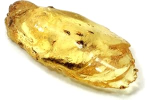 CRYSTALAGE Copal Amber Healing Crystal