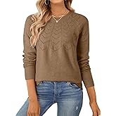 SHEWIN Sweaters for Women Crochet Long Sleeve Crew Neck Sweater Lightweight Shirts Tops Fall Fashion 2025