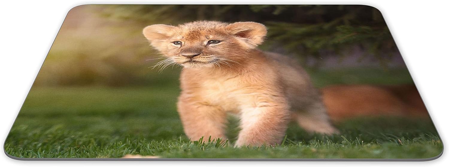 Amazon ライオンの子マウスマットパッド ワイルド赤ちゃん動物アフリカかわいいキッズコンピュータギフト Destination Vinyl Mats パソコン 周辺機器 通販