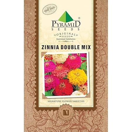Pyramid Seeds Zinnia Double Mix Flower Seeds (Multicolour, Pack of 200)