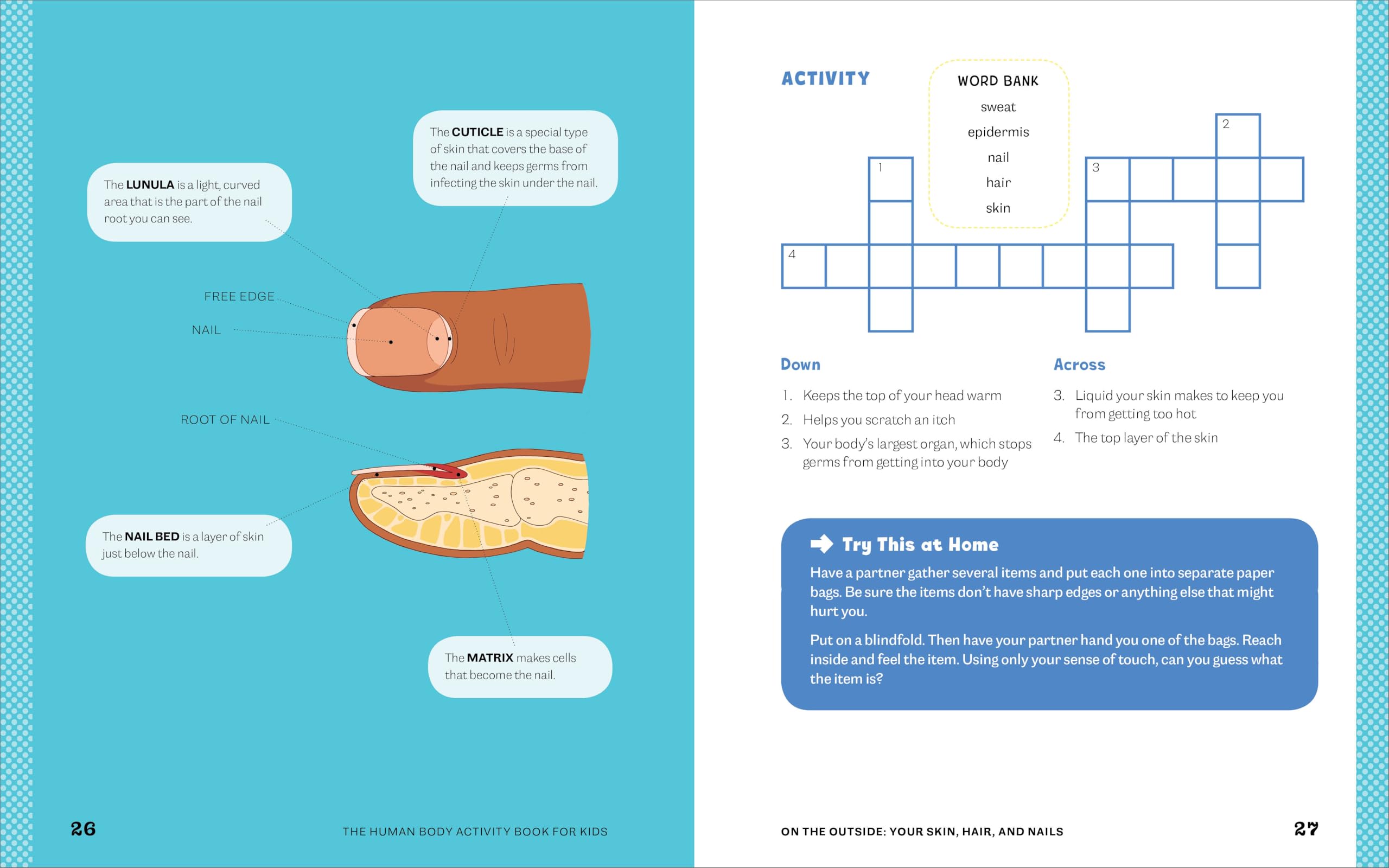Human Body Activity Book for Kids: Hands-On Fun for Grades K-3 Human Body Activity Book for Kids: Hands-On Fun for Grades K-3 Paperback Spiral-bound
