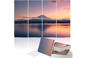 PINWELIFE® Wall Art Acoustic Panels, Sound Proof Absorbing Panels for Home/Office, Decorative Absorbing Dampening, Noise and 