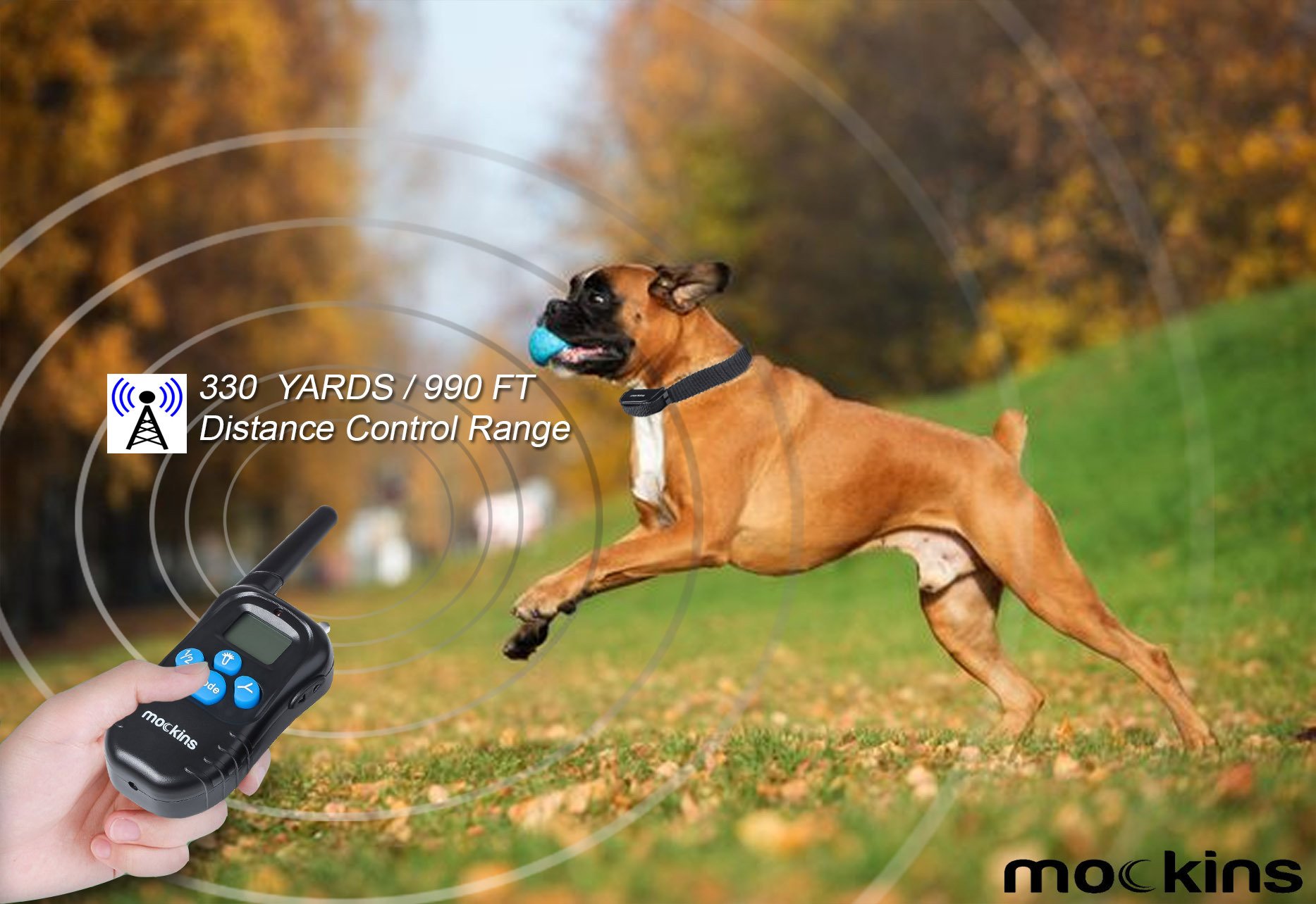 dog distance shock collar