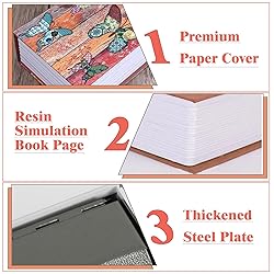 Butterfly Book Safe Box with Combination