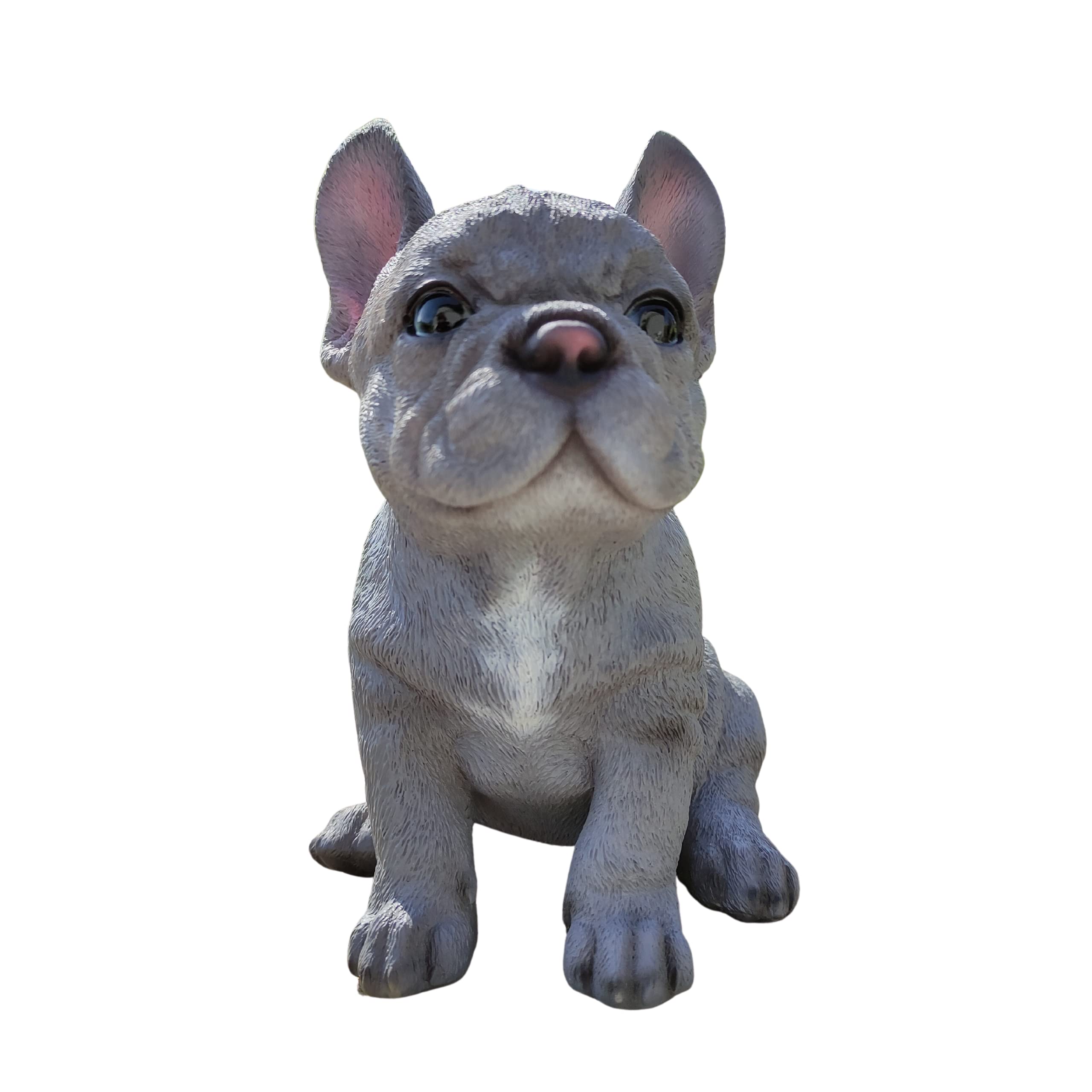 Vivid Arts - Pet Pals Blue French Bulldog Home or Garden Decoration (PP-BFRB-F)