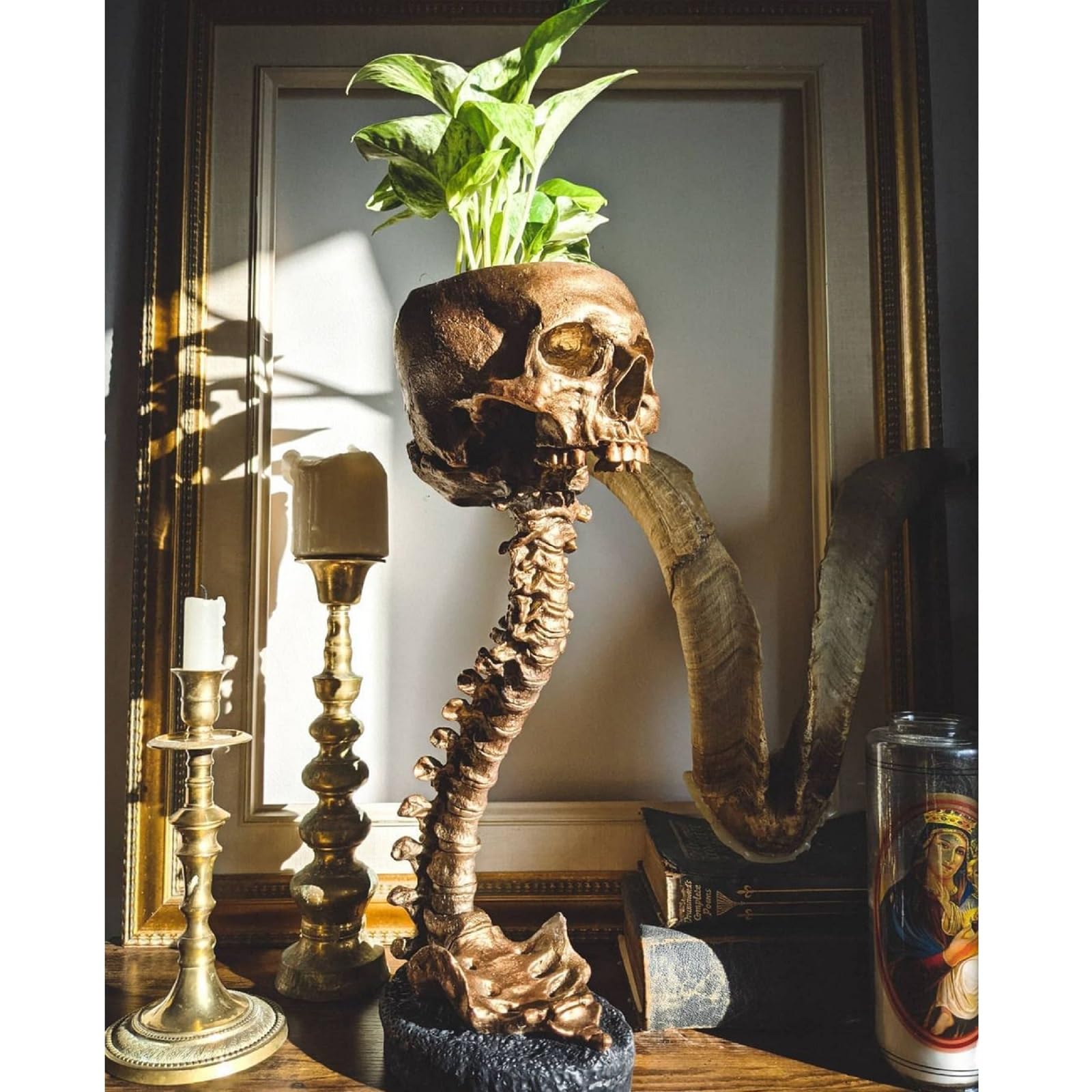 Photo 1 of abocyn Skull Planter & Spine Stand, Resin Skeleton Flower Pot, Gothic Spooky Halloween Home Decor, Horror Skull Decor, Candy Bowl, Halloween Decorations for Home Office Indoor Outdoor Decor