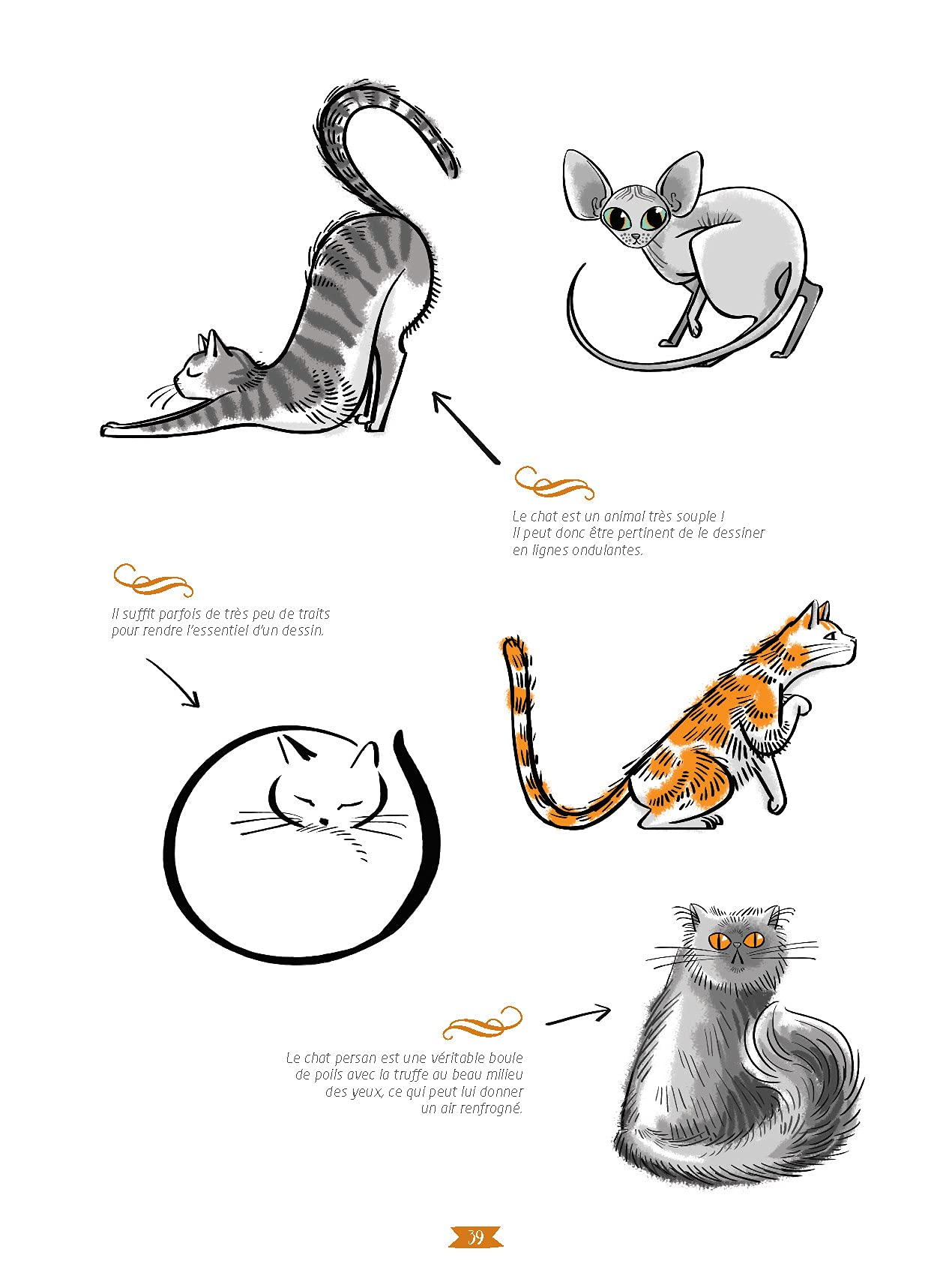 Dessine Moi Un Animal Mouton Soizic Amazon Com Books