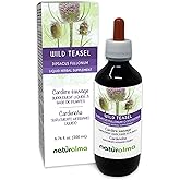 Naturalma Wild Teasel or Fuller's Teasel (Dipsacus fullonum or D. sylvestris) Root Alcohol-Free Tincture - 6.76 fl oz Liquid Extract in Drops - Herbal Supplement - Vegan