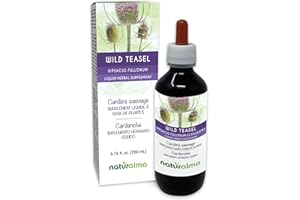 Naturalma Wild Teasel or Fuller's Teasel (Dipsacus fullonum or D. sylvestris) Root Alcohol-Free Tincture - 6.76 fl oz Liquid Extract in Drops - Herbal Supplement - Vegan