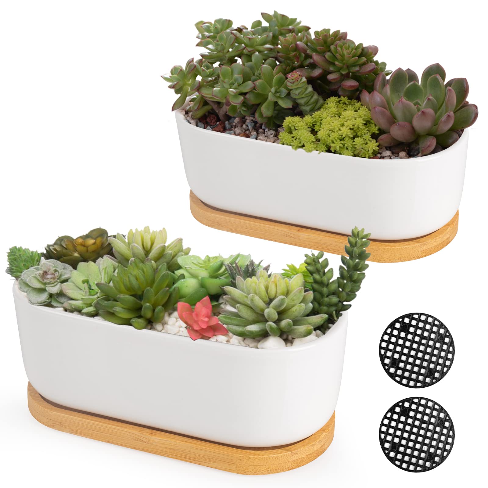 ARVINKEY White Ceramic Succulent Plant Pots, Indoor and Outdoor Succulent Planters, Set of 2 Small Cactus Containers, Bonsai Pots, Flower Pots with Drainage Hole and Bamboo Bowl (No Plant) — image 1