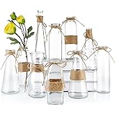 MDLUU Clear Glass Bud Vase in Bulk, 10Pcs Assorted Decorative Glass Bottles with Rope, Different Sizes Vintage Jar for Wedding Centerpiece, Party, Reception Table, Home Decor