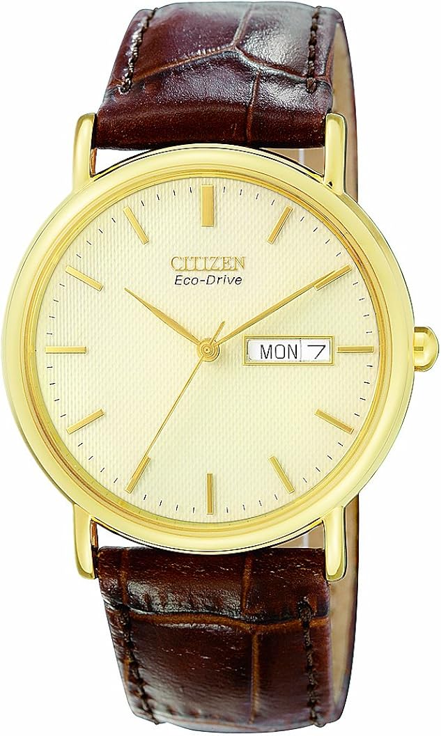 orologi per i cittadini