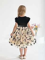 Sinhoon Toddler Girl Tulle Dress Summer Ruffle