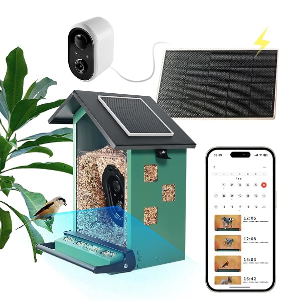 BIRD FEEDER SQUIRREL-PROOF BIRD FEEDER WITH CAMERA WATCH THE BIRDS FEED