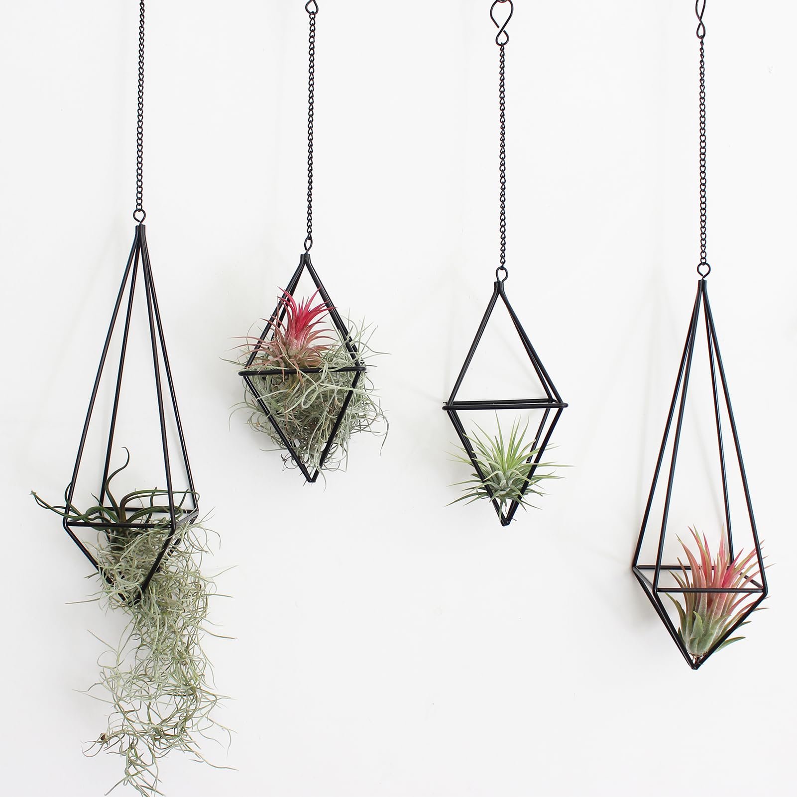 libproqia 4 Pcs Hanging Air Plants Holders Black Himmeli Unique Geometric Tillandsia Planter Hangers Airplants Display Frame with Chains Wall Metal Air Plants Holder 2 Size