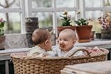 BIBS Colour Dummy 6-18 Months 2-Pack Symmetrical Teat Vanilla Pine view 4