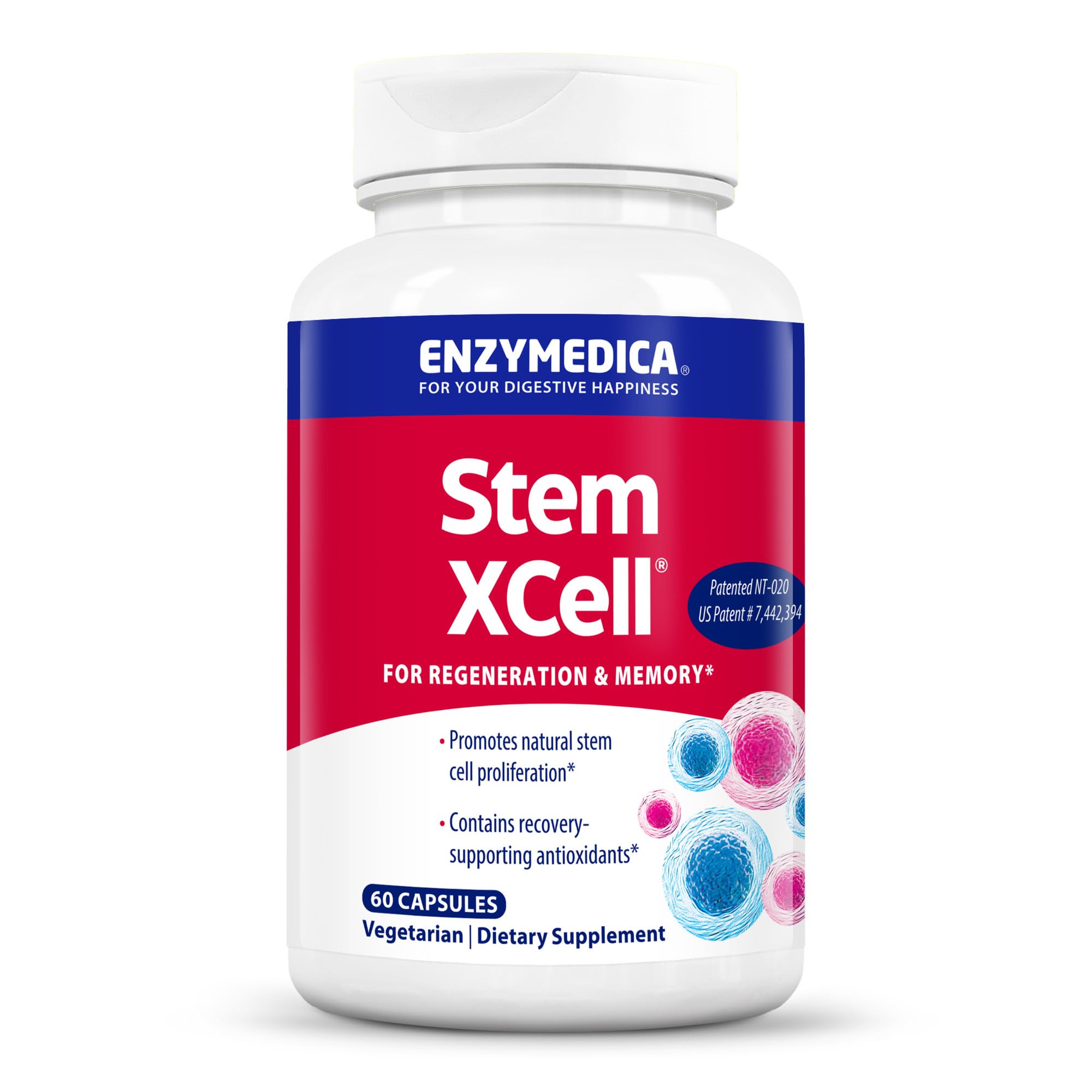 ENZYMEDICA - Stem XCell (60 Capsules) | Therapeutic Enzymes Supplements | Enzyme and Antioxidant Blend for Stem Cell Health and Regeneration, Nutrient Supplements, Vegetarian, Dairy Free, Gluten Free