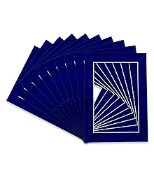 Pack of Ten Acid Free 12x16 Mats Bevel Cut for