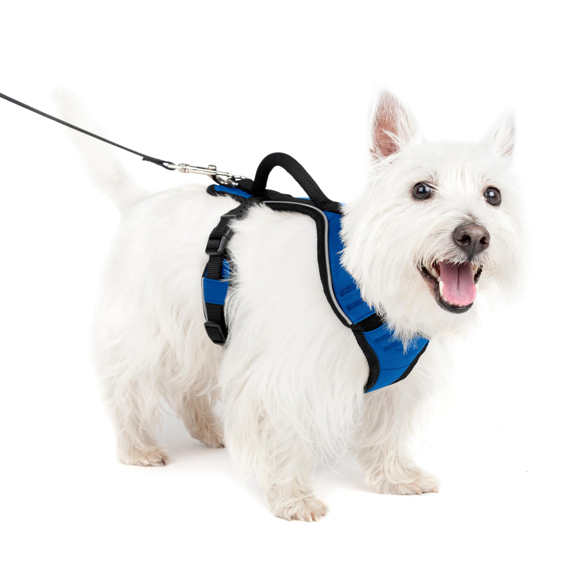 PetSafe EasySport Harness – Adjustable padded straps with control handle and reflective piping – From the makers of the Easy Walk Harness – Small – Blue