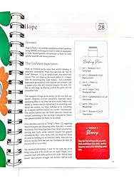 New The Bible In A Year: A 52-Week Bible Study For