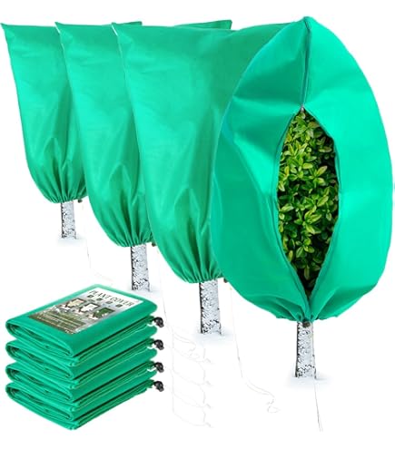 Protecteur De Racines De Palmier, Protection Hivernale Pour