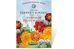 The Old Farmer's Almanac Petite Mixture Marigold Seeds - Premium Non-GMO, Open Pollinated, USA Origin - Approx 200 Flower Seeds