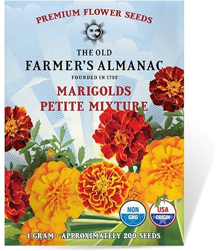 Amazon.com : Marigold Seeds for Planting French Marigold Flower Seeds Mix -  About 500 Seeds : Patio, Lawn & Garden