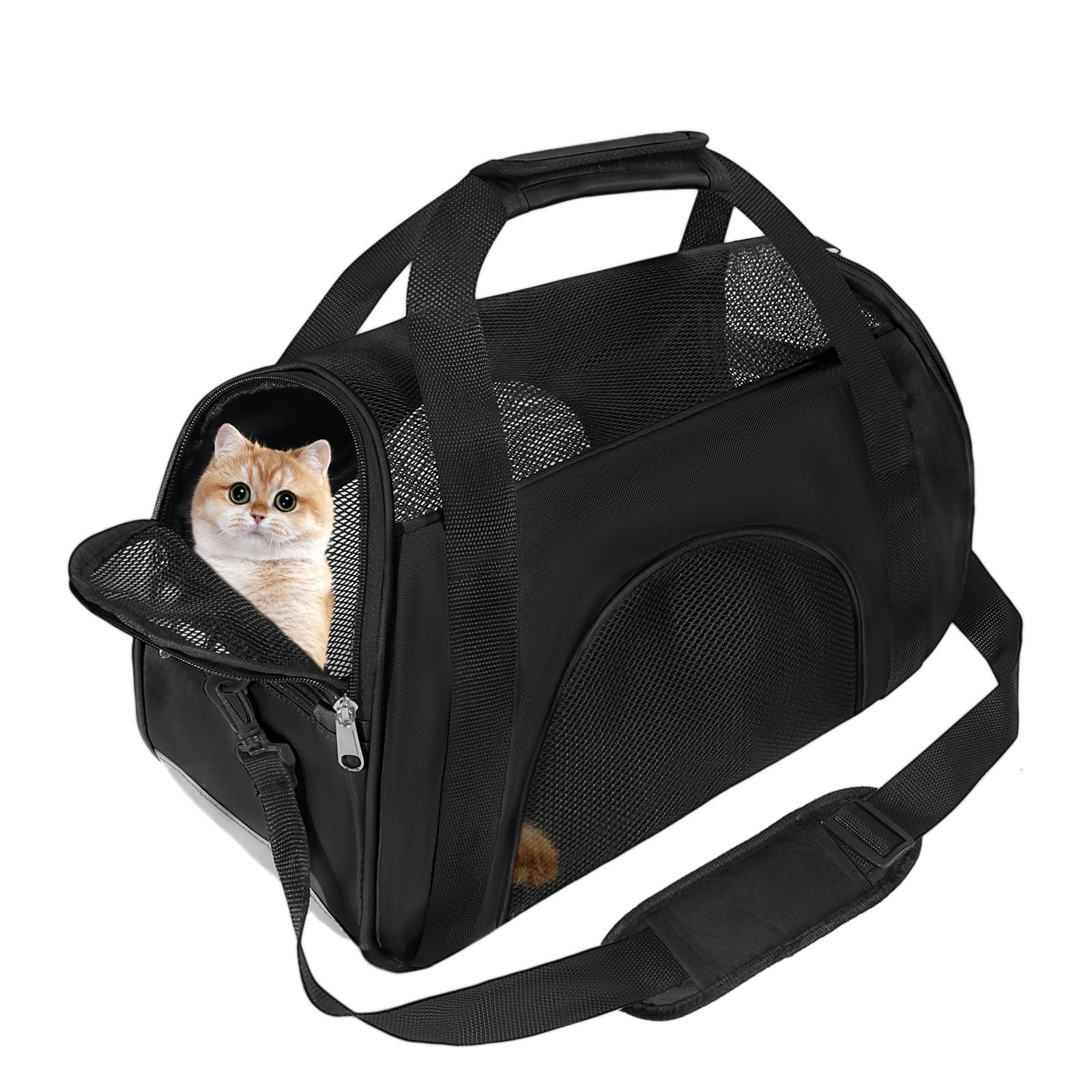 Soft Sided Portable Cat Carrier, Foldable Pet Travel Carriers Bag For Cats/Small Dog/Puppy With Shoulder Strap & Removable Mat,Comfort Cat Basket Airline Approved(Black/Medium)