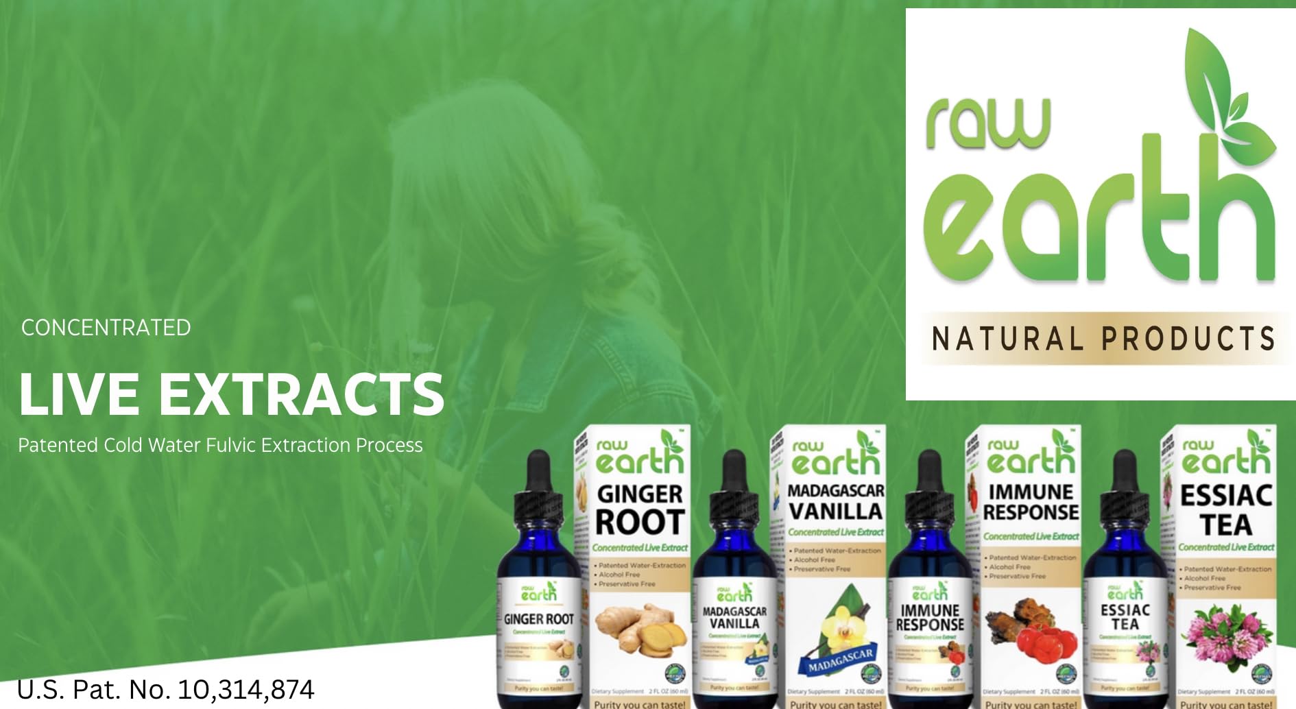 Raw Earth Live Turmeric Root Extract - Organic Ingredients - Alcohol Free - BioActive Curcumin Liquid Drops - Patented Process with Fulvic Mineral Transport System