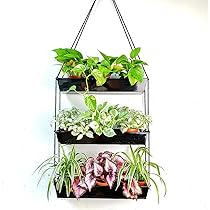LaLaGreen Wall Planter 3-Pack - 6 Inch Silver Metal Hanging Planters For Indoor & Outdoor
