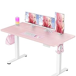 ErGear Height Adjustable Electric Standing Desk, 55