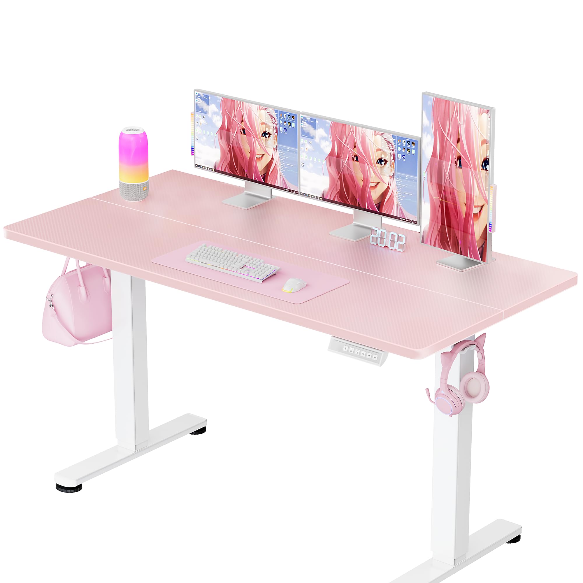 ErGear Height Adjustable Electric Standing Desk, 55